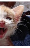 Dracula Kitty Notebook