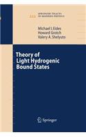 Theory of Light Hydrogenic Bound States