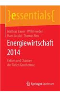 Energiewirtschaft 2014