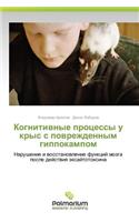 Kognitivnye Protsessy U Krys S Povrezhdennym Gippokampom