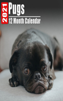 Calendar 2021 Pugs