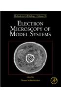 Electron Microscopy of Model Systems