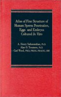 Atlas of Fine Structure of Human Sperm Penetration, Eggs, and Embryos Cultured In Vitro