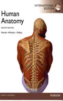 Human Anatomy