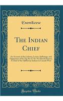 The Indian Chief: An Account of the Labours, Losses, Sufferings, and Oppression of Ke-Zig-Ko-E-Ne-Ne (David Sawyer), a Chief of the Ojibbeway Indians in Canada West (Classic Reprint)
