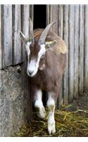Goat Sneaking Out of the Barn Journal