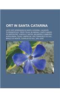 Ort in Santa Catarina: Liste Der Gemeinden in Santa Catarina, Cacador, Florianopolis, Treze Tilias, Blumenau, Santo Amaro Da Imperatriz, Join