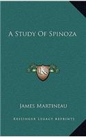 Study Of Spinoza