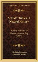 Seaside Studies In Natural History