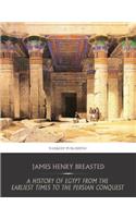 A History of Egypt From the Earliest Times to the Persian Conquest
