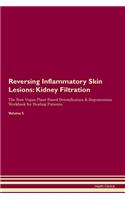 Reversing Inflammatory Skin Lesions: Kidney Filtration The Raw Vegan Plant-Based Detoxification & Regeneration Workbook for Healing Patients. Volume 5