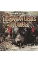 Tasmanian Devils in Danger