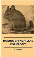 Raising Chinchillas For Profit