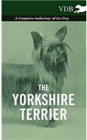 The Yorkshire Terrier - A Complete Anthology of the Dog: (English)