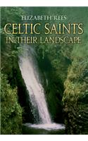 Celtic Saints in Their Landscape: In Their Landscape