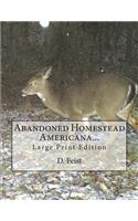 Abandoned Homestead Americana...