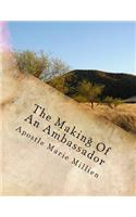 The Making Of An Ambassador