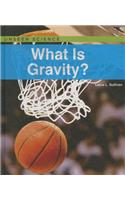 What Is Gravity?