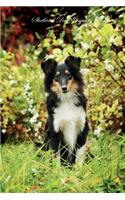 Shetland Dog January Notebook Shetland Dog Record, Log, Diary, Special Memories, To Do List, Academic Notepad, Scrapbook & More