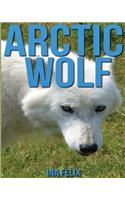 Arctic Wolf