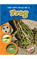 The Life Cycle of a Frog: (Life Cycles)