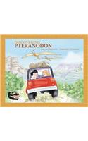 Discovering Pteranodon
