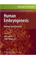 Human Embryogenesis
