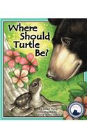 Where Should Turtle Be?