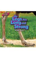 My Legs Are Long and Strong: Ostrich