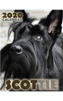 Scottie 2020 Calendar