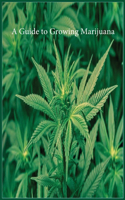 Guide to Growing Marijuana