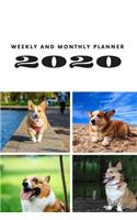 Weekly and Monthly Planner 2020