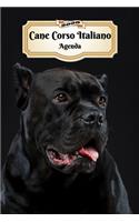 2020 Cane Corso Italiano Agenda: 107 Pagine - Dimensioni DIN A5 - Pianificatore Settimanale - 12 Mesi - Due Pagine Per Settimana - Calendario - Diario - Cane