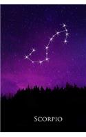 2020 Daily Planner Scorpio Constellation Night Sky Astrology Symbol 388 Pages
