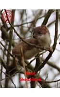 Stoat Sketchbook: (Sketchbooks for Drawing)