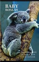 Baby Koalas Monthly Note Planner 2019 1 Year Calendar