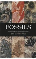 Fossils
