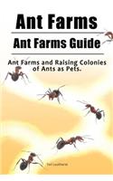 Ant Farms. Ant Farms Guide. Ant Farms and Raising Colonies of Ants as Pets.