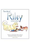 Life of Riley