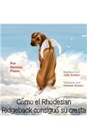 Cómo el Rhodesian Ridgeback consiguió su cresta