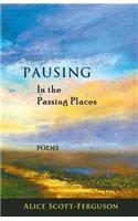 Pausing in the Passing Places