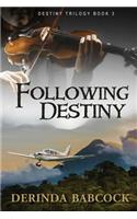 Following Destiny: (3 Destiny)