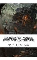 Darkwater: Voices From Within The Veil