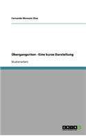 Übergangsriten - Eine kurze Darstellung: (German)