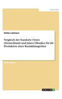 Vergleich der Standorte Oyten (Deutschland) und Juárez (Mexiko) für die Produktion eines Raumklimagerätes