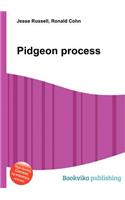 Pidgeon Process