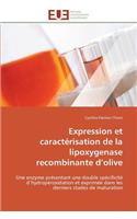 Expression Et Caractérisation de la Lipoxygenase Recombinante D Olive