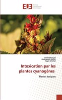 Intoxication par les plantes cyanogènes