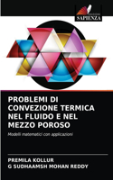Problemi Di Convezione Termica Nel Fluido E Nel Mezzo Poroso