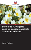 Survie de P. vulgaris dans un paysage agricole: semis et adultes